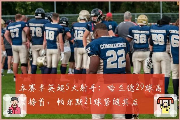 本赛季英超5大射手：哈兰德29球高居榜首，帕尔默21球紧随其后
