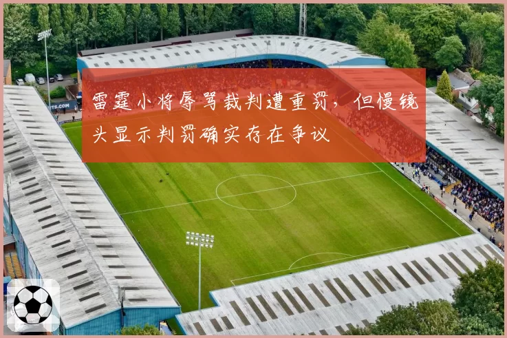 雷霆小将辱骂裁判遭重罚，但慢镜头显示判罚确实存在争议